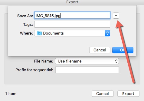 iPhoto Export Dialog